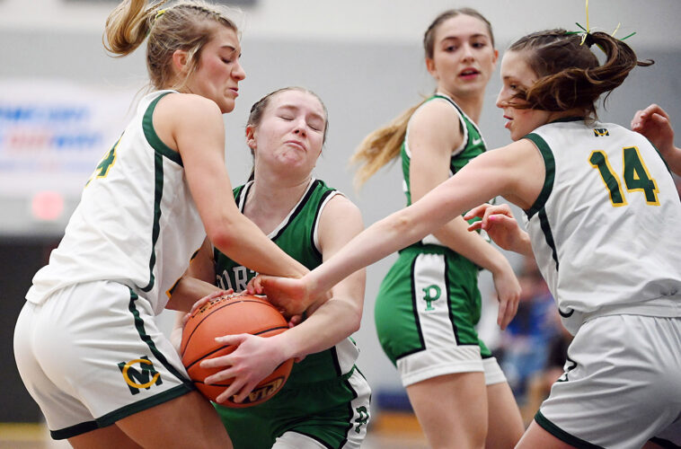 Hustling Stingers knock off Portage in title tilt
